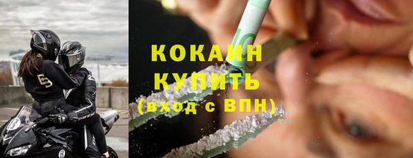 винт Бикин