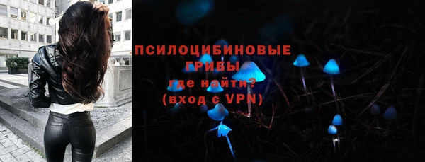 ПСИЛОЦИБИНОВЫЕ ГРИБЫ Новокубанск
